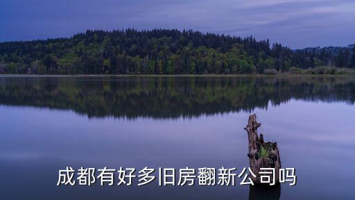 成都有好多舊房翻新公司嗎