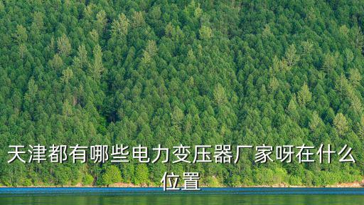 天津都有哪些電力變壓器廠家呀在什么位置