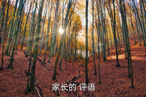  家長的 評語