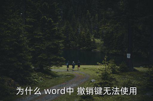 word不能撤銷,word2016撤銷功能故障解決方法詳解