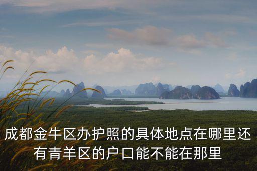 成都市青羊區(qū)出國護照辦理點，青羊區(qū)金沙這邊哪個派出所可以辦護照具體地址謝謝哈