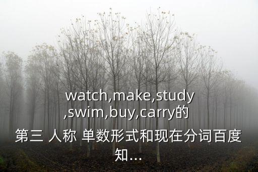 watch的第三人稱單數,12月第三輪擁車證標價全面上揚