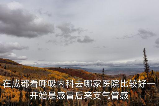 在成都看呼吸內(nèi)科去哪家醫(yī)院比較好一開始是感冒后來支氣管感