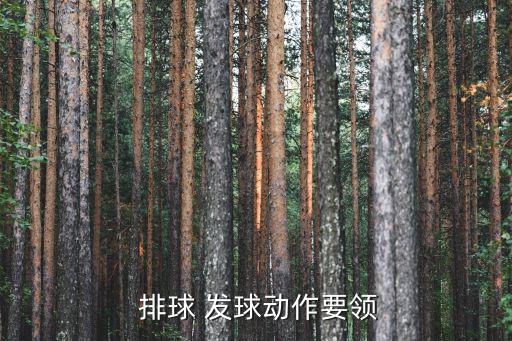  排球 發球動作要領