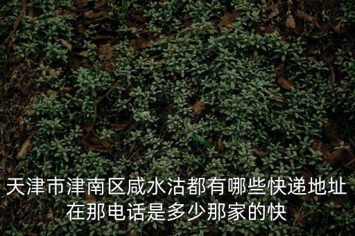 天津市咸水沽分部，咸水沽在那啊