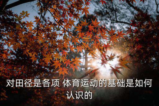 體育運動之母,田徑是各項運動的基礎是發展體能的訓練手段