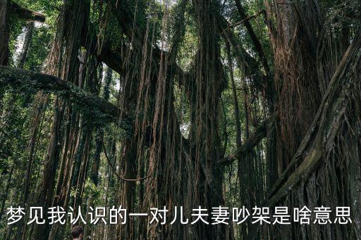 夢見我認識的一對兒夫妻吵架是啥意思