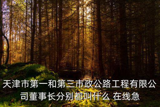 天津市第一和第三市政公路工程有限公司董事長分別都叫什么 在線急