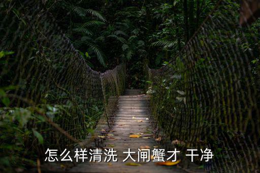 怎么樣清洗 大閘蟹才 干凈