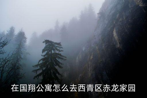在國翔公寓怎么去西青區(qū)赤龍家園