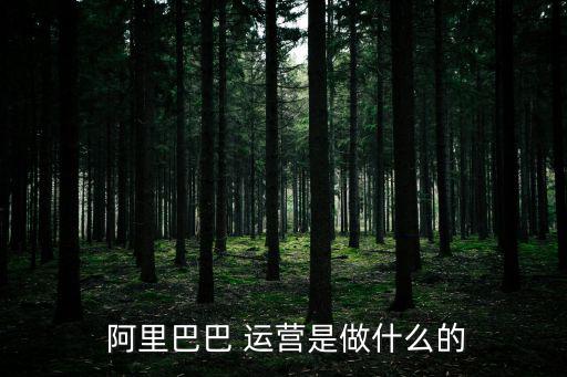  阿里巴巴 運營是做什么的