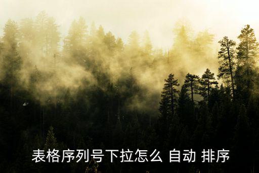  表格序列號下拉怎么 自動 排序