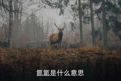氤氳是什么意思