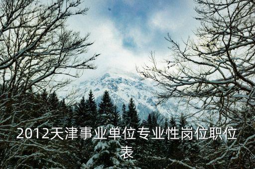 2012天津事業單位專業性崗位職位表