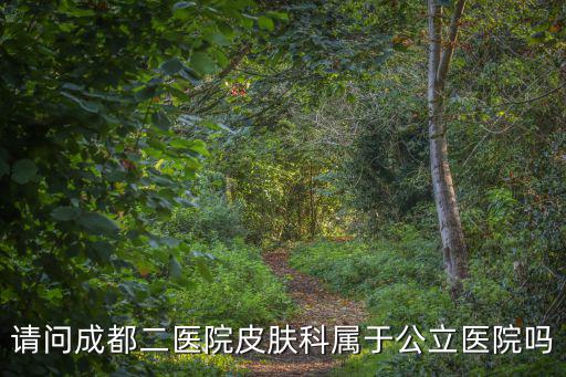 成都市二醫(yī)院有皮膚科嗎，成都市第二人民醫(yī)院 皮膚科