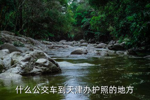 什么公交車到天津辦護照的地方