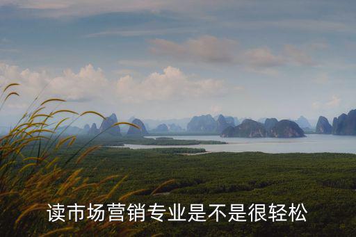 創業之星實訓報告