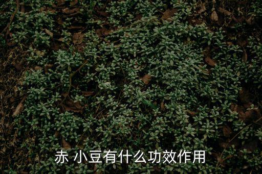 赤小豆的功效與作用,被蛇咬百日內應避免食用紅小豆