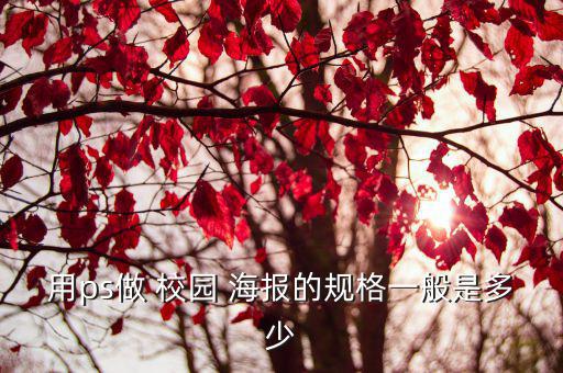 用ps做 校園 海報的規格一般是多少