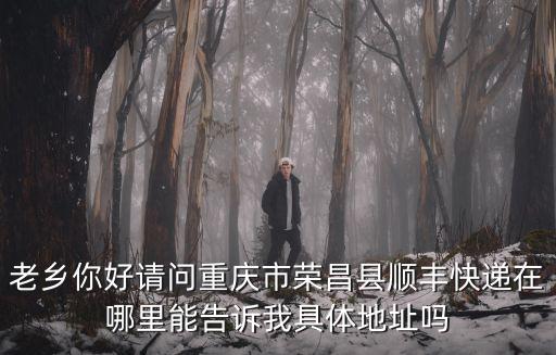 重慶市榮昌區(qū)白巷子，德邦快遞網(wǎng)點(diǎn)查詢重慶市榮昌縣德邦快遞在哪里