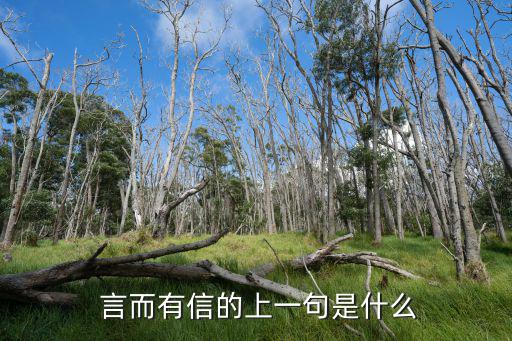 言而有信的故事,交朋友，言而有信出自語(yǔ)文學(xué)