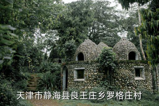 天津市靜海縣良王莊鄉羅格莊村