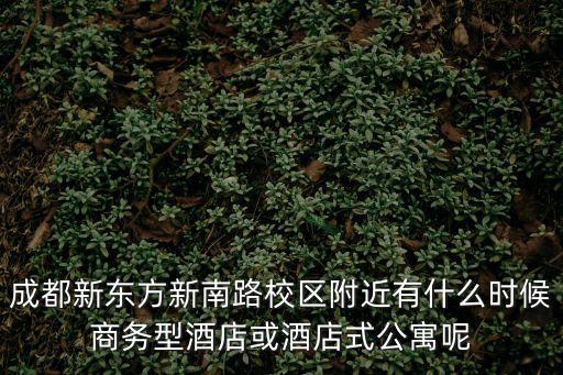 成都市中心公寓為啥便宜，請(qǐng)問在成都市里在那租房比較便宜寫大家了
