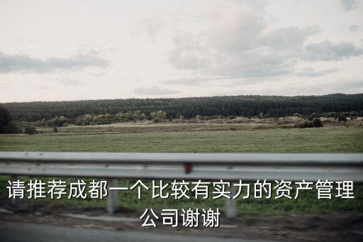 請推薦成都一個比較有實力的資產管理公司謝謝