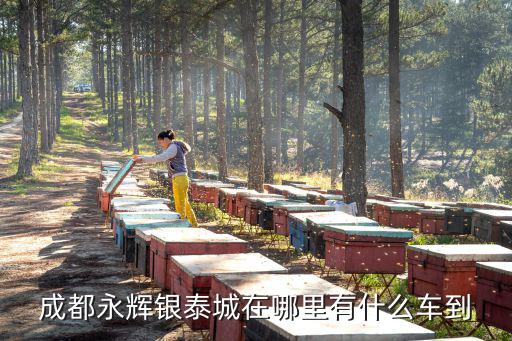 成都永輝銀泰城在哪里有什么車到