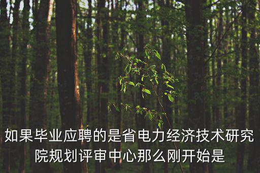 如果畢業應聘的是省電力經濟技術研究院規劃評審中心那么剛開始是