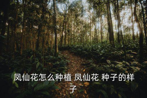鳳仙花種子圖片,鳳仙花種子播種前要澆透水但不能太多水