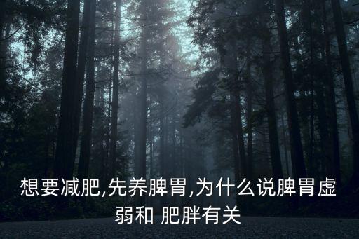 想要減肥,先養脾胃,為什么說脾胃虛弱和 肥胖有關