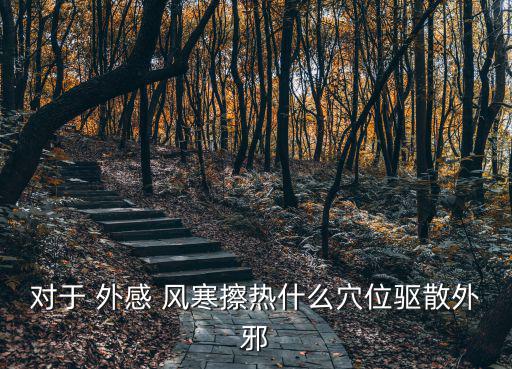 外感風寒,風寒二感以桂枝麻黃湯對半或沒有桂枝