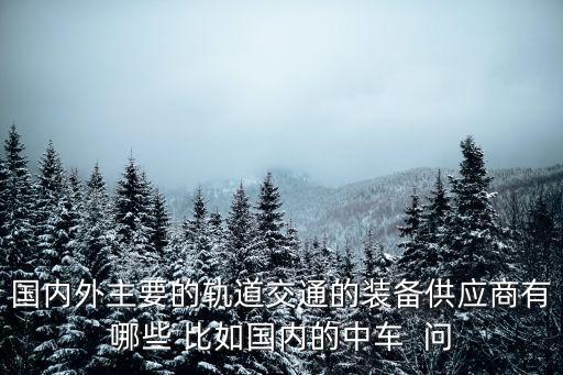 國(guó)內(nèi)外主要的軌道交通的裝備供應(yīng)商有哪些 比如國(guó)內(nèi)的中車  問