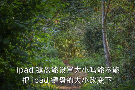  ipad 鍵盤能設置大小嗎能不能把 ipad 鍵盤的大小改變下