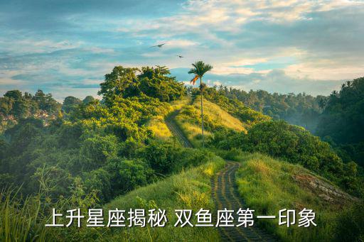 上升雙魚(yú),上升雙魚(yú)你出生時(shí)戴的面具是美人魚(yú)