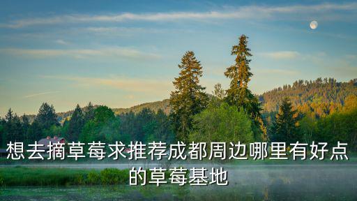 想去摘草莓求推薦成都周邊哪里有好點(diǎn)的草莓基地