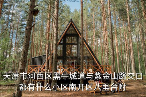 天津市悅禧閣，天津市河西區(qū)黑牛城道與紫金山路交口都有什么小區(qū)南開區(qū)八里臺附