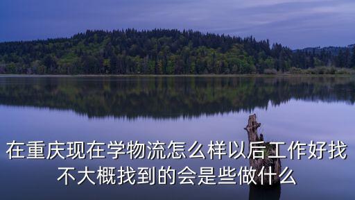 在重慶現在學物流怎么樣以后工作好找不大概找到的會是些做什么