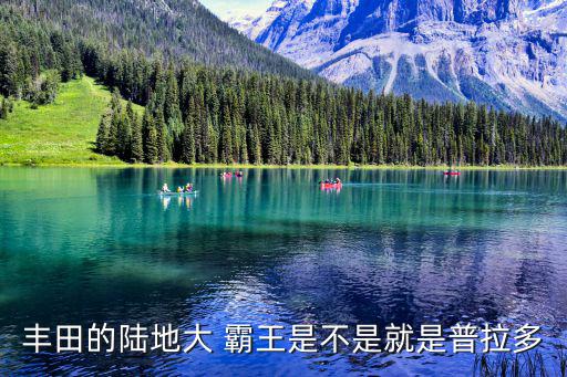 霸王車(chē),普瑞維亞2.4標(biāo)準(zhǔn)版45.98萬(wàn)進(jìn)口日本車(chē)很安全