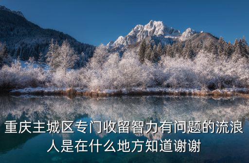 重慶主城區(qū)專門收留智力有問題的流浪人是在什么地方知道謝謝
