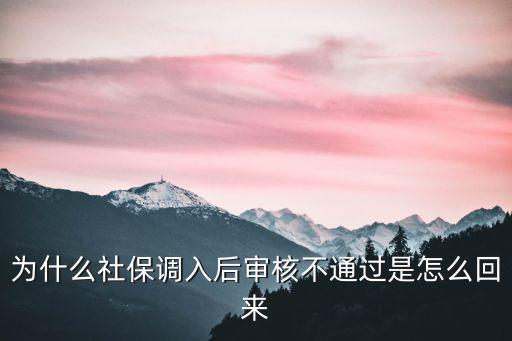 為什么社保調入后審核不通過是怎么回來