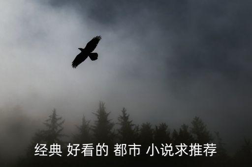 好看的都市小說,《超級(jí)修真保鏢》都市生命之書第一集