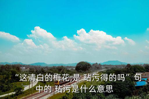 “這清白的梅花,是 玷污得的嗎”句中的 玷污是什么意思