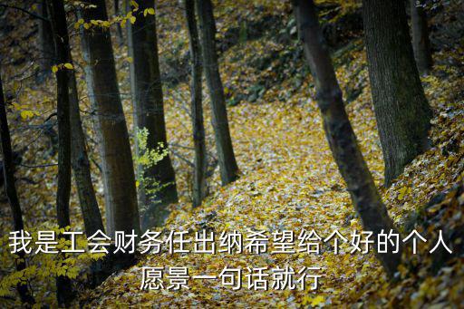 我是工會財務任出納希望給個好的個人愿景一句話就行
