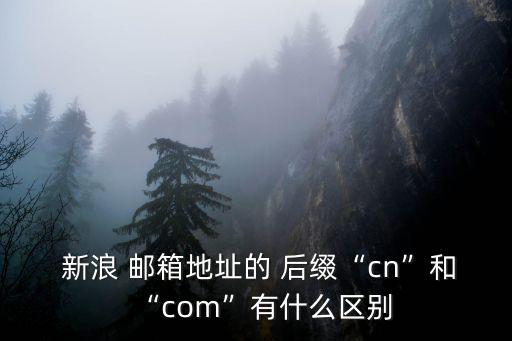  新浪 郵箱地址的 后綴“cn”和“com”有什么區別