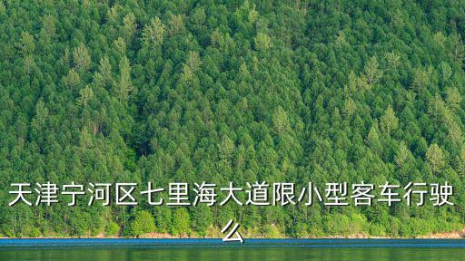 天津市七里海政策，天津寧河區七里海大道限小型客車行駛么