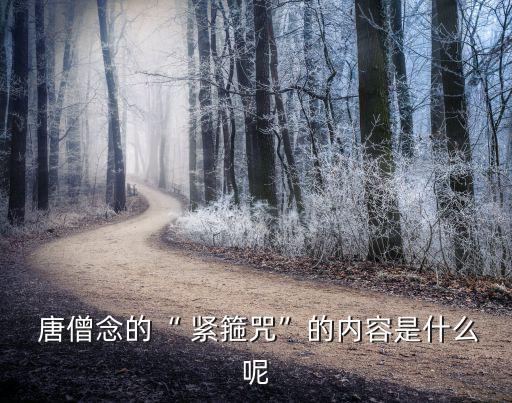 唐僧念緊箍咒,唐三藏看了十遍緊箍咒:為實驗效果看了一遍