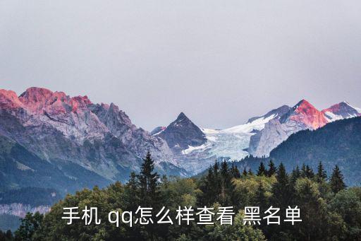 手機qq黑名單,手機qq暫不支持在黑名單上查看人物