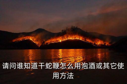 蛇鞭的功效和作用,改良版蛇鞭粉適合孕婦和年長者吃